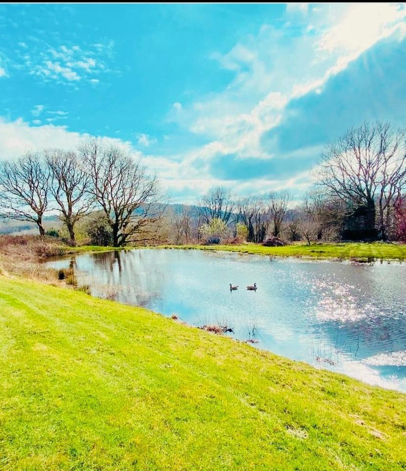 The Farmhouse Swansea Buitenkant foto